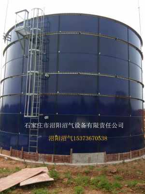 大型沼气设备核心组件 搪瓷拼装罐存储罐与厌氧罐详解